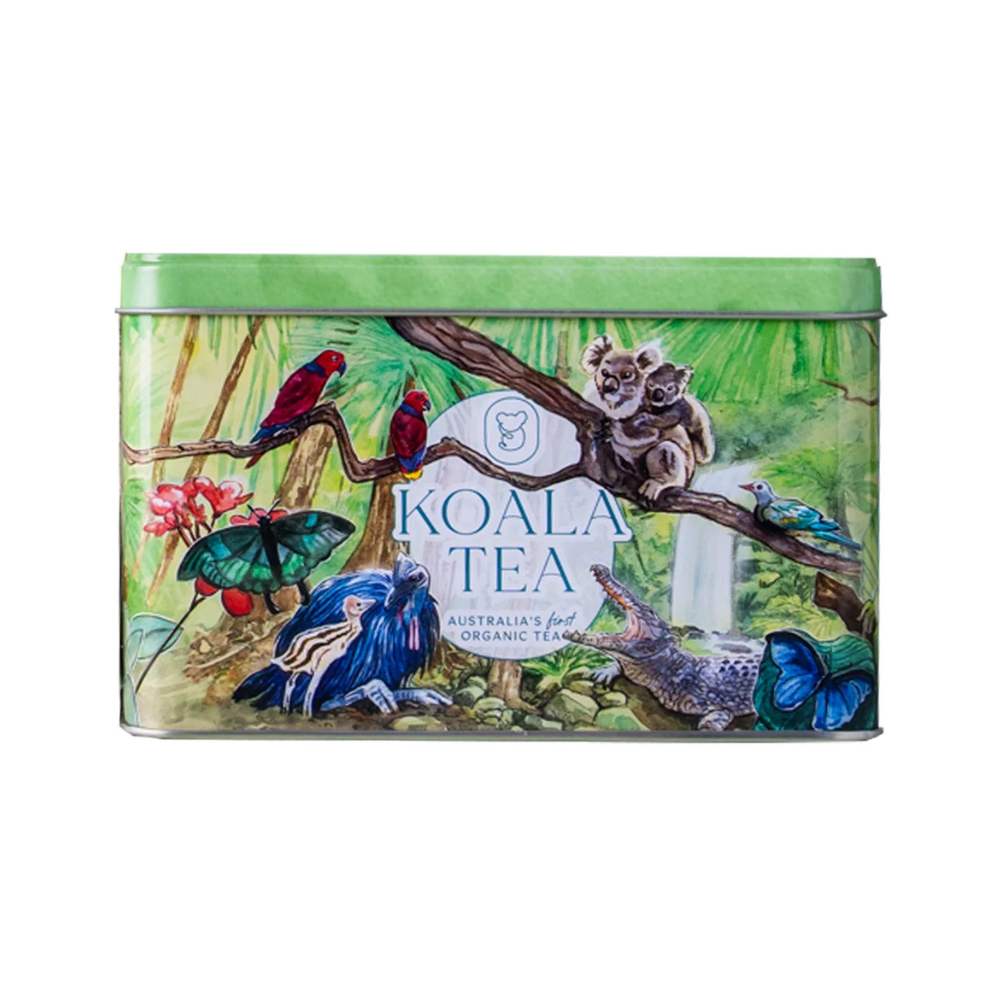 Koala Tea Koala Tin Gift Pack RAINFOREST/JUNGLE 25T Bags